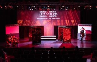 Ninja show Osaka